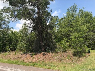 3848 N Monadnock Rd, Hernando, FL 34442 - photo 2