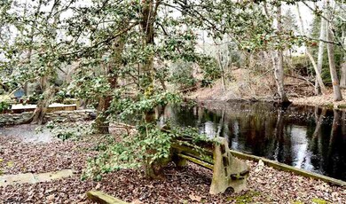 2035 Gale Ave, Mays Landing, NJ 08330 - photo 6