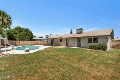 backyard_pool_01