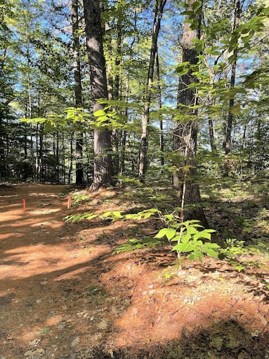 0 Duncan Lake Rd unit MAP 123/56 4917931, Ossipee, NH 03864 - photo 6