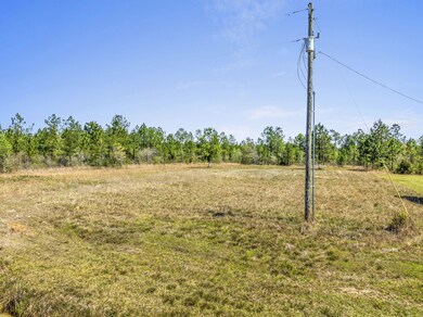 3-web-or-mls-DJI_0022
