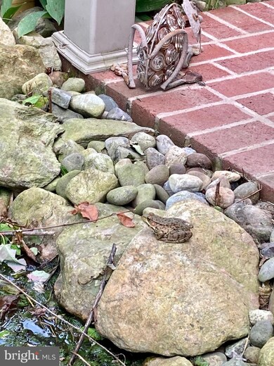 472 Mcculloch Rd, Shippensburg, PA 17257 - photo 6