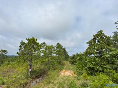 Tract 2 Tom Cat Rd, Gadsden, AL 35903 - photo 5