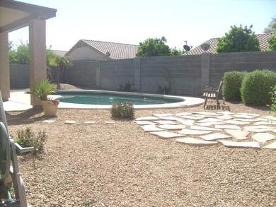 Back yard
