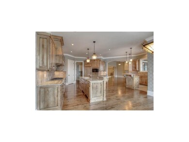 Cabinet fronted appliances, granite countertops, d