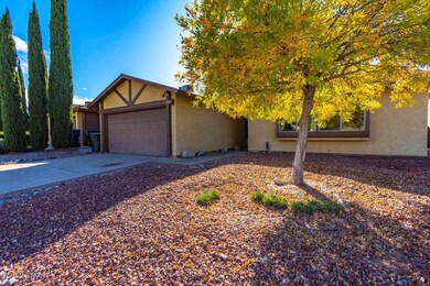 243 N Schrader Lane__078