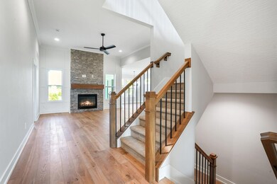 9-web-or-mls-DSC03287