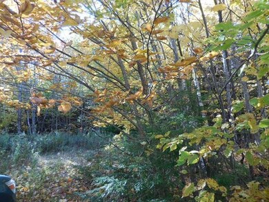 124 Fern Rd, Dover-Foxcroft, ME 04426 - photo 6