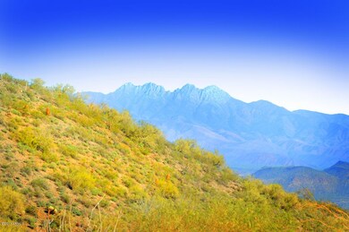 R-Lot#31 Desert Tortoise Trail-Eagles Ne