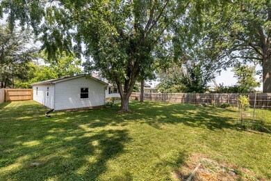 Back Yard 5
