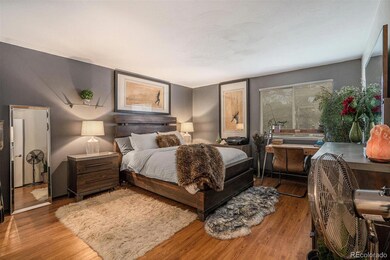 Large bedroom with deep walk-in closet and adjoini