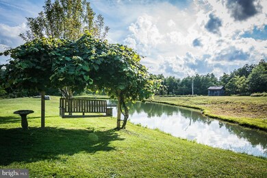 811 Pisgah Rd, Mount Storm, WV 26739 - photo 5