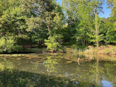 321 Redstone Dr unit Lot 192, Scottsboro, AL 35769 - photo 7