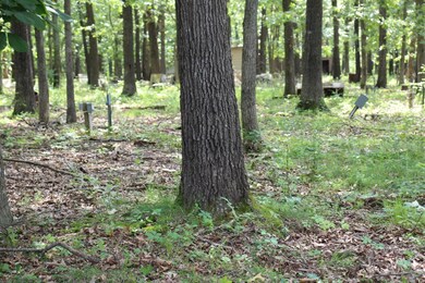 IMG_8555