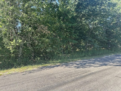 134 Snowflake Way, Houghton Lake, MI 48629 - photo 4