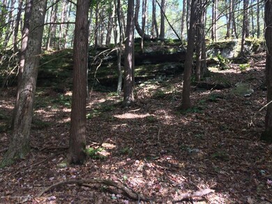 f1b9a338b4fa04f2ad58c5e2a6c6355486ee4b67