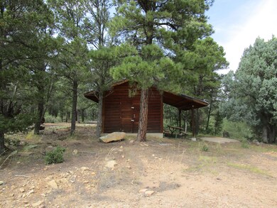 33024 Ponderosa Ridge Dr, Trinidad, CO 81082 - photo 3
