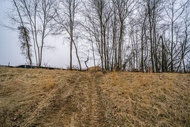 2725 Dorval Rd, Harrisonburg, VA 22801 - photo 2