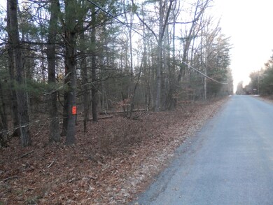 0 Cricket Hill Rd, Berlin Township, PA 18428 - photo 6