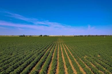 3207 E County Road 5500, Lubbock, TX 79403 - photo 3