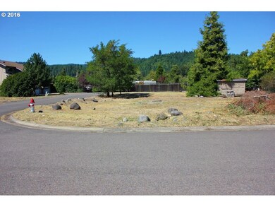 0 Christel Ln unit 16081525, Oakridge, OR 97463 - photo 2