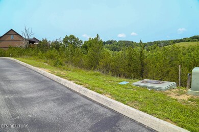 0 Blue Herring Way unit RTC3052483, Sevierville, TN 37876 - photo 3