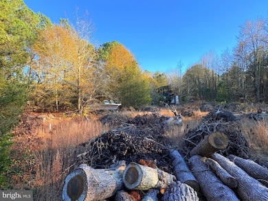 8385 Hurleys Neck Rd, Mardela Springs, MD 21837 - photo 3