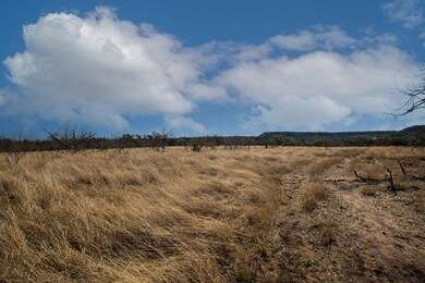 4 E Lower Crabapple Rd unit 4, Fredericksburg, TX 78624 - photo 5