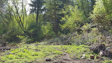 20170506_131510 (1)