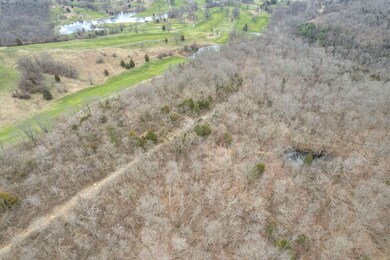 DJI_0130
