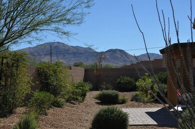 Backyard Mountain Views