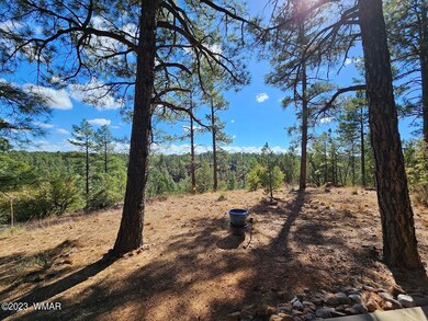 1741 N Mustang Run, Show Low, AZ 85901 - photo 5