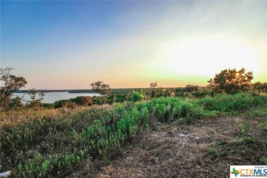 10118 Waterview Cove, Moody, TX 76557 - photo 7