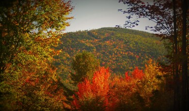 55 White Tail Ridge, Bridgton, ME 04009 - photo 3