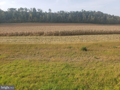 0 Shermans Valley Rd, New Bloomfield, PA - photo 2