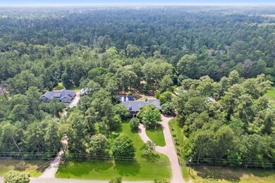 31118 N High Meadow Cir, Magnolia, TX 77355 - photo 5