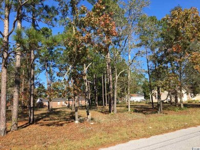 Lot 9 Beaty St, Georgetown, SC 29440 - photo 2