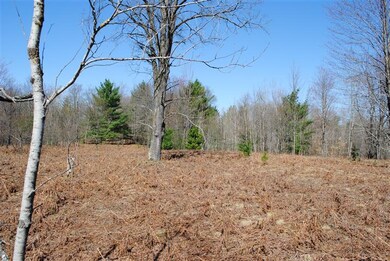 0 S 230th Ave, Lincoln Township, MI 49677 - photo 7