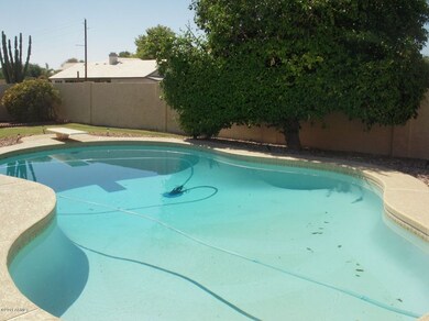 SPARKLING POOL