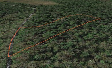 491 Tamarac Rd, Oxford, NY 13830 - photo 4