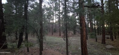 77 E Ski Run Rd, Williams, AZ 86046 - photo 6