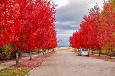 161011_msv_autumn_038
