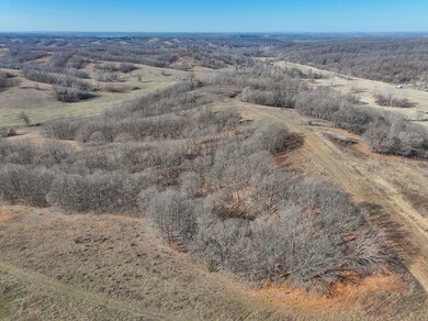 DJI_20250128112015_0287_D