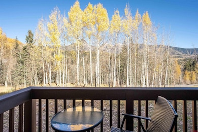 50827 Highway 550 unit 311, Durango, CO 81301 - photo 6