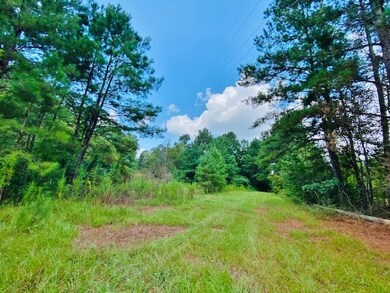 000 China Grove Rd, Tylertown, MS 39667 - photo 4