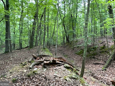 0 Super Deluxe Rd unit 10594088, Rockmart, GA 30153 - photo 6