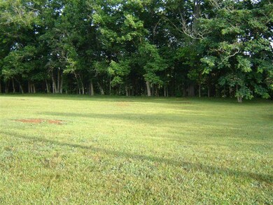 0 River Bend Rd unit RTC1339906, Shelbyville, TN 37160 - photo 6