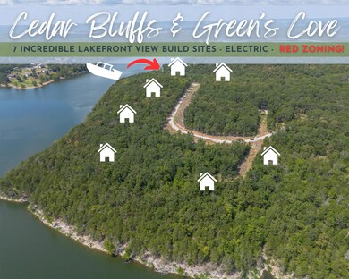 Tbd Bluff View Rd, White River Township, MO 65747 - photo 7