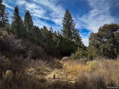00 Jaidi Rd, Sangre de Cri, CO 81133 - photo 5
