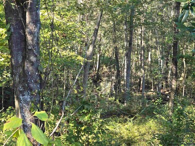 0 Ralph Wood Rd unit 246370, Dublin, GA 31021 - photo 7